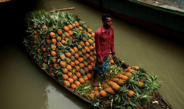 Bangladesz