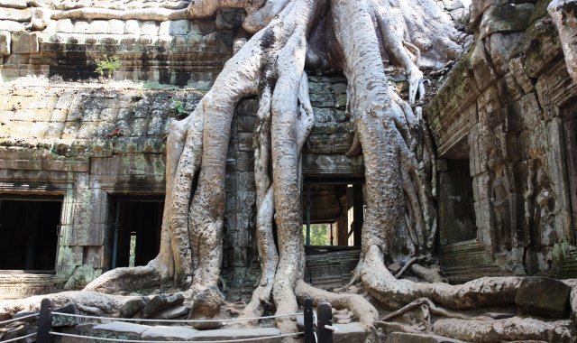 Angkor 2011
