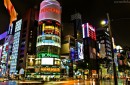 Japonia: program przyrodniczy + naturalne spa zdjęcie #1