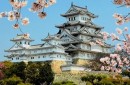 Japonia: program przyrodniczy + naturalne spa zdjęcie #3