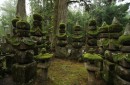 Japonia: program przyrodniczy + naturalne spa zdjęcie #4