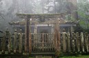 Japonia: program przyrodniczy + naturalne spa zdjęcie #5