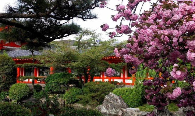Japonia: program przyrodniczy + naturalne spa