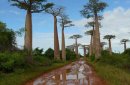 Madagaskar - Czerwona Wyspa zdjęcie #1
