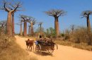 Madagaskar - Czerwona Wyspa zdjęcie #3