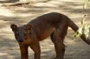Madagaskar - Czerwona Wyspa zdjęcie #4