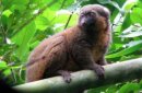 Madagaskar - Czerwona Wyspa zdjęcie #5