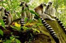 Madagaskar - Czerwona Wyspa zdjęcie #8