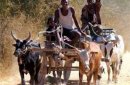 Madagaskar - Czerwona Wyspa zdjęcie #12