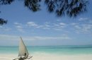 Tanzania:Afrykańska Sawanna i Podwodny Świat Zanzibaru zdjęcie #8