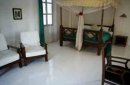Tanzania:Afrykańska Sawanna i Podwodny Świat Zanzibaru zdjęcie #10
