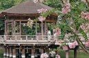 Japonia - W kraju kwitnącej wiśni zdjęcie #1