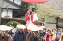 Japonia - W kraju kwitnącej wiśni zdjęcie #2