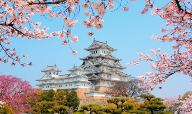 Japonia - W kraju kwitnącej wiśni