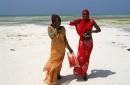 Tanzania: Kilimandżaro Treking + Zanzibar zdjęcie #5