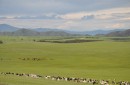 Mongolia - Wyprawa w tajgę i step zdjęcie #5