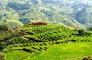 Laos – Wietnam - Tajlandia zdjęcie #5