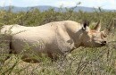 Namibia-w kraju Himba i Buszmenów zdjęcie #1