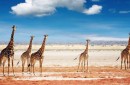 Namibia-w kraju Himba i Buszmenów zdjęcie #5